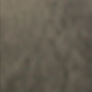 Meet your Posher, Savannah